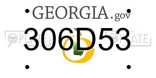 306D53 Georgia License Plate