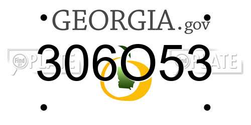 306O53 Georgia License Plate