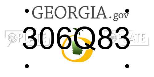 306Q83 Georgia License Plate