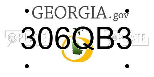 306QB3 Georgia License Plate