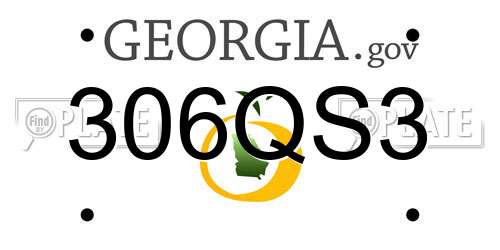 306QS3 Georgia License Plate