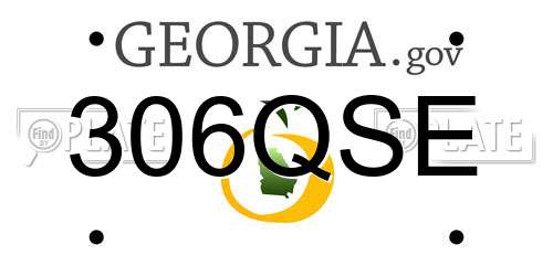 306QSE Georgia License Plate