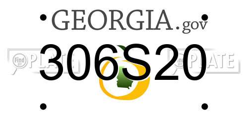 306S20 Georgia License Plate