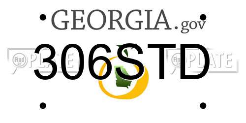 306STD Georgia License Plate