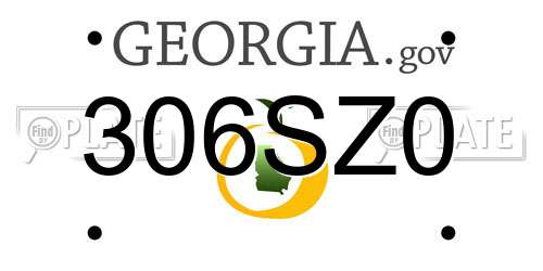306SZ0 Georgia License Plate