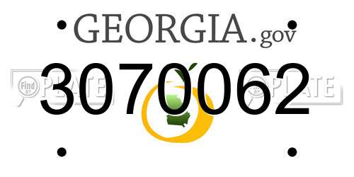 3070062 Georgia License Plate