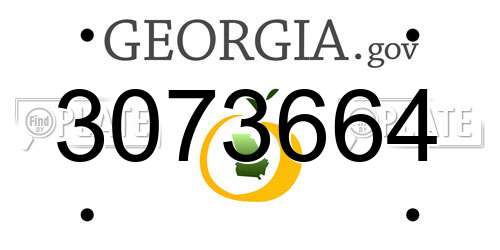 3073664 Georgia License Plate