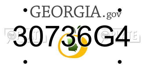 30736G4 Georgia License Plate