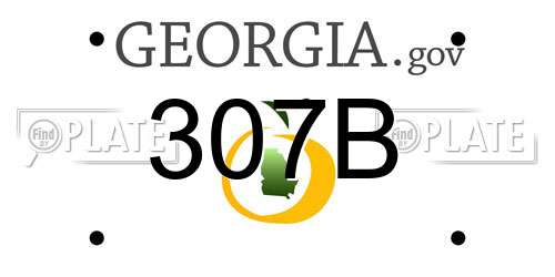 307B Georgia License Plate