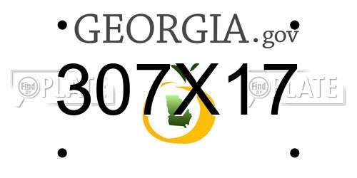 307X17 Georgia License Plate