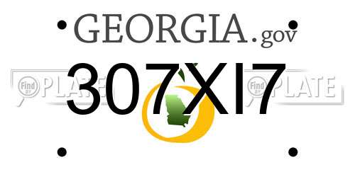 307XI7 Georgia License Plate