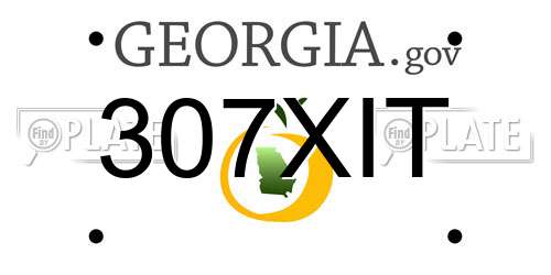 307XIT Georgia License Plate