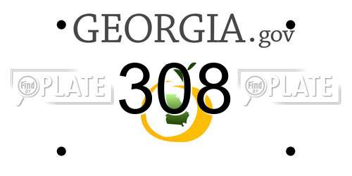 308 Georgia License Plate