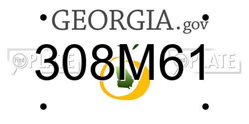 308M61 Georgia License Plate