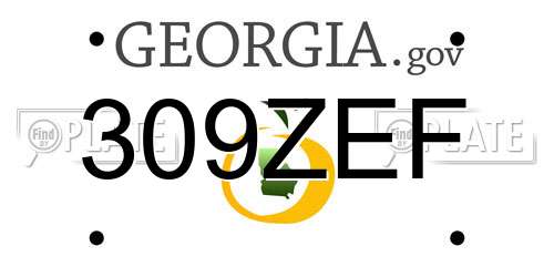 309ZEF Georgia License Plate