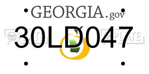 30LD047 Georgia License Plate