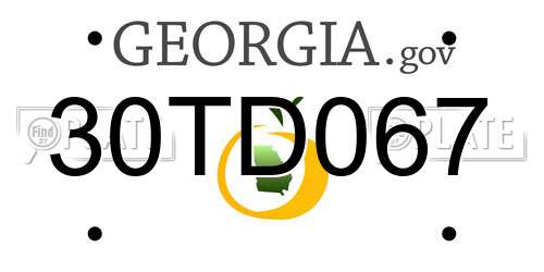 30TD067 Georgia License Plate