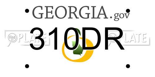 310DR Georgia License Plate