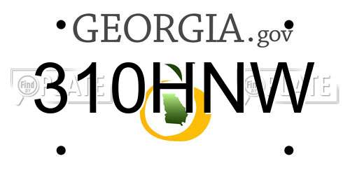 310HNW Georgia License Plate