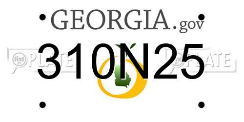 310N25 Georgia License Plate