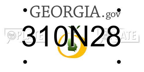 310N28 Georgia License Plate