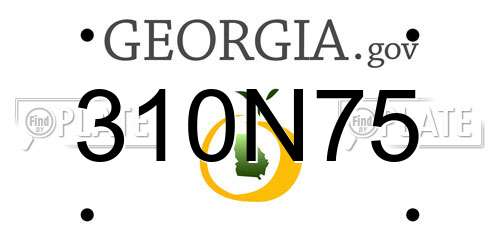 310N75 Georgia License Plate