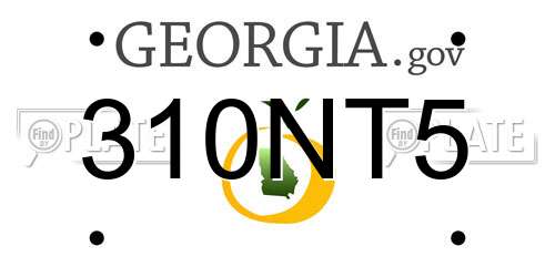 310NT5 Georgia License Plate