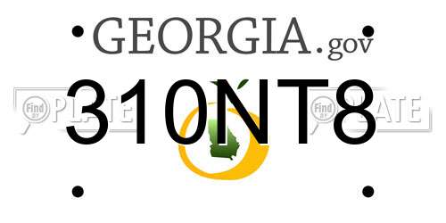 310NT8 Georgia License Plate