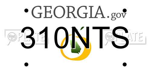 310NTS Georgia License Plate