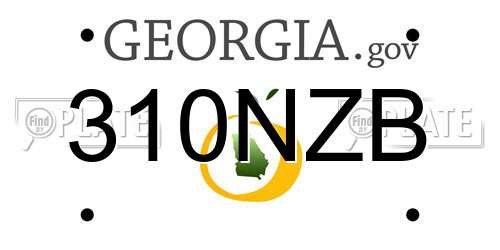 310NZB Georgia License Plate