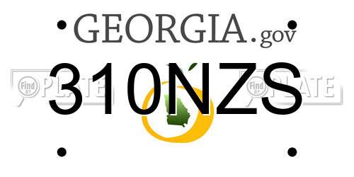 310NZS Georgia License Plate