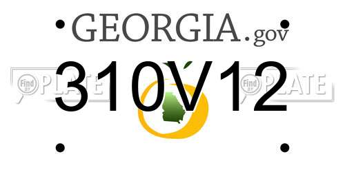 310V12 Georgia License Plate