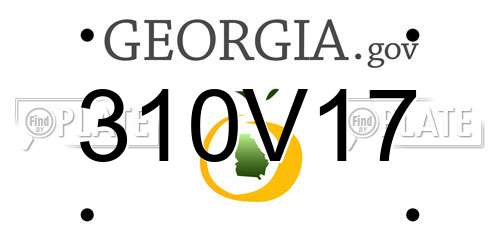 310V17 Georgia License Plate
