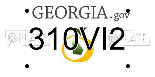 310VI2 Georgia License Plate