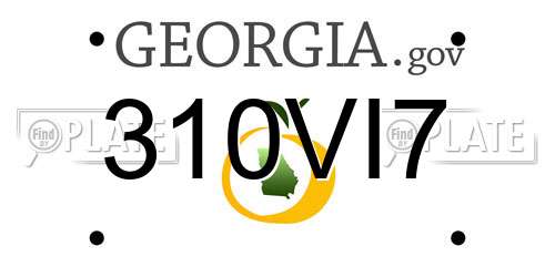 310VI7 Georgia License Plate