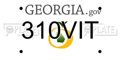 310VIT Georgia License Plate
