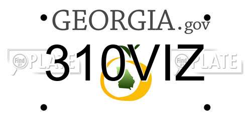 310VIZ Georgia License Plate