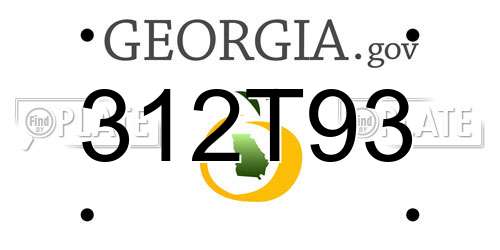 312T93 Georgia License Plate