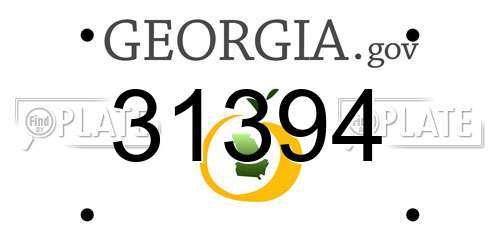 31394 Georgia License Plate