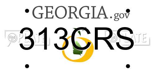 313CRS Georgia License Plate