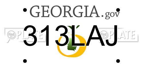 313LAJ Georgia License Plate