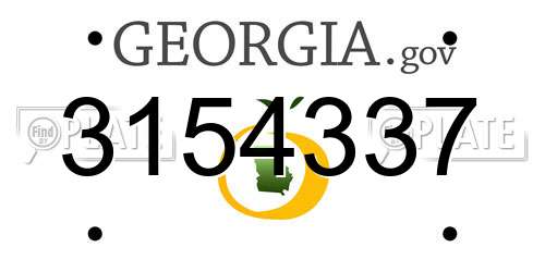 3154337 Georgia License Plate