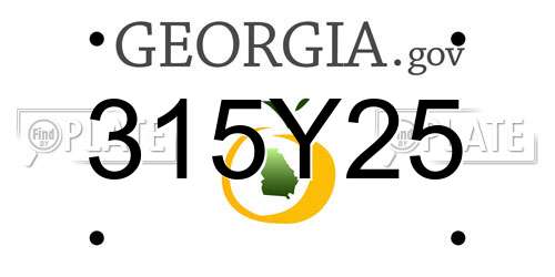 315Y25 Georgia License Plate