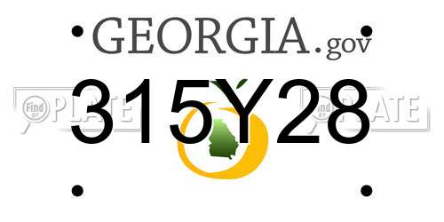 315Y28 Georgia License Plate