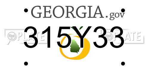 315Y33 Georgia License Plate