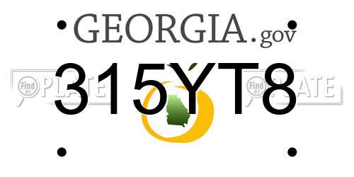 315YT8 Georgia License Plate