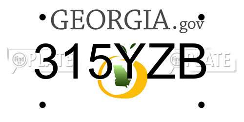 315YZB Georgia License Plate