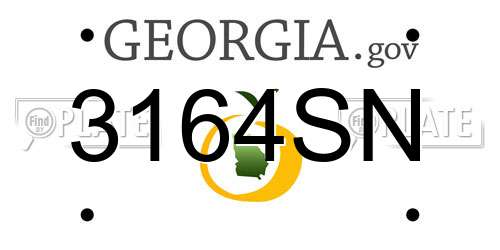 3164SN Georgia License Plate