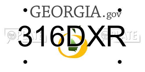 316DXR Georgia License Plate