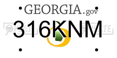 316KNM Georgia License Plate